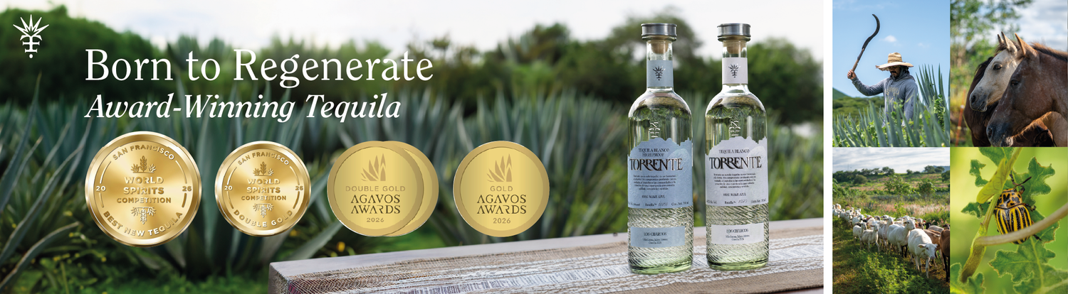 Torrente Tequila