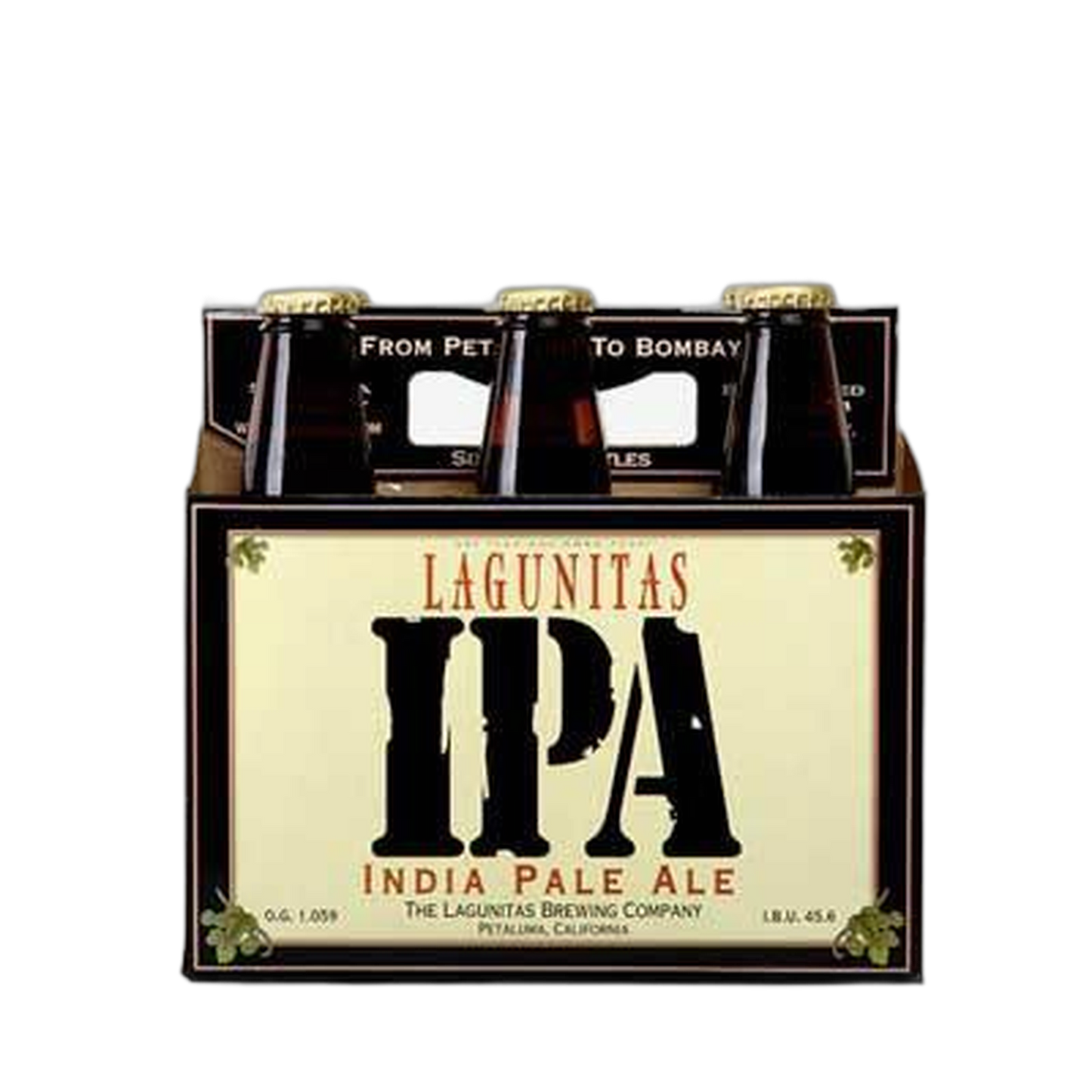 Lagunitas India Pale Ale - 6 bottles