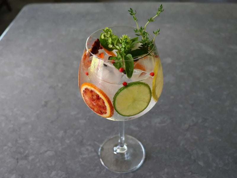 The Best Gins for Gin and Tonics - Sipsy