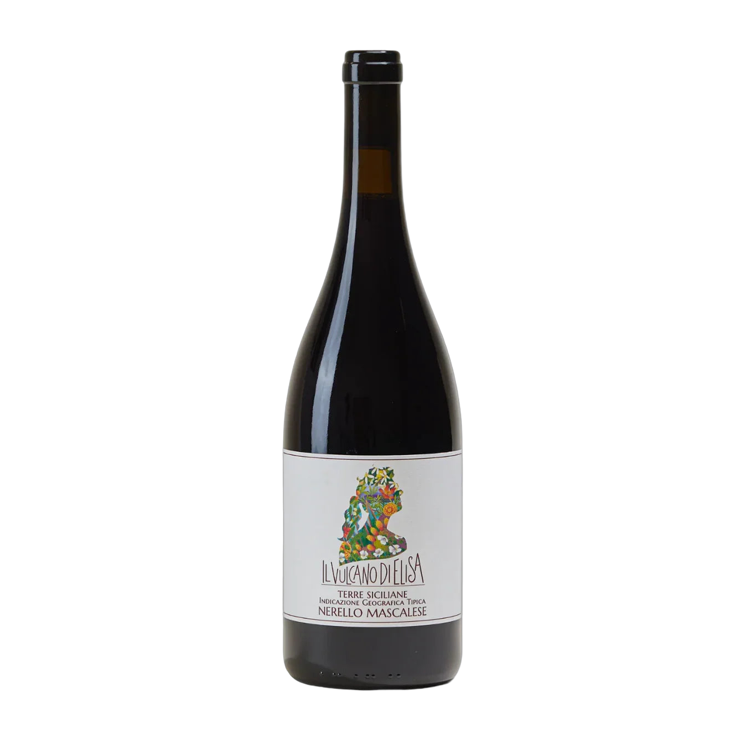 Il Volcano di Elisa Natural Wine - 750ml