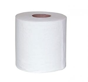 Toilet Paper - 1 Roll