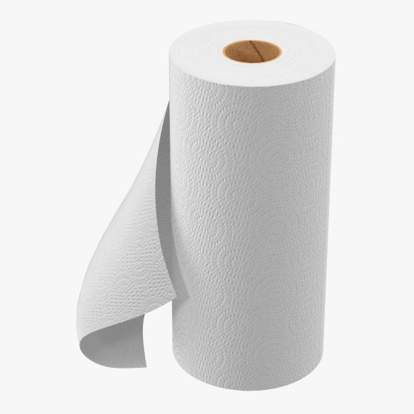 Paper Towels - 1 Roll
